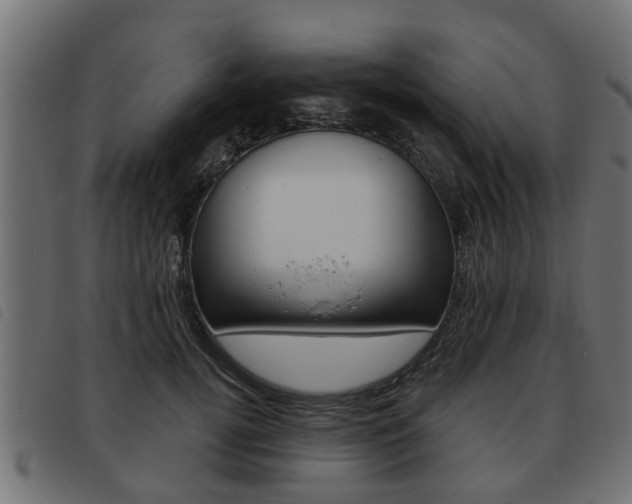 X0000093620752200710151040