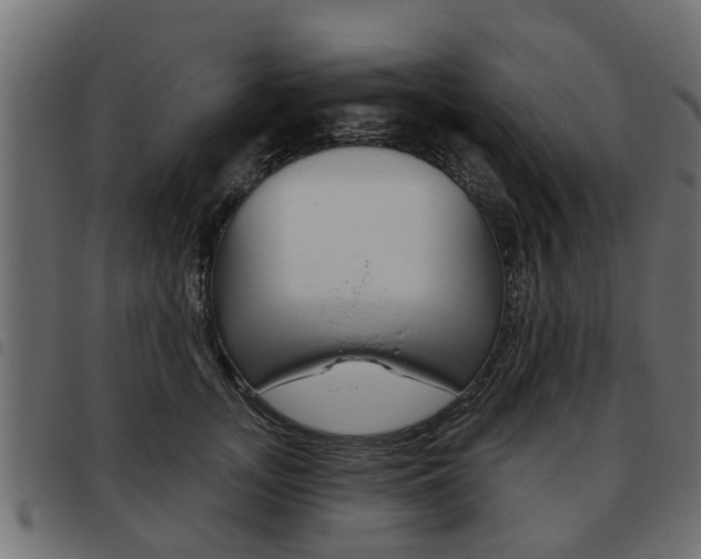 X0000093620755200710151040