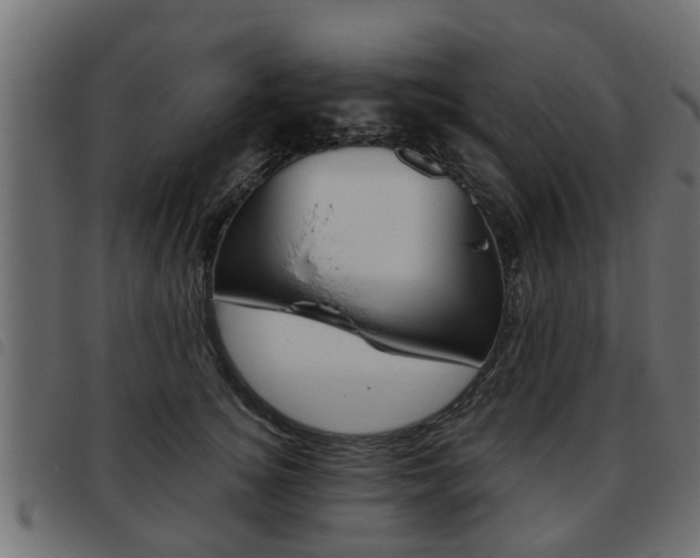 X0000093620756200710151040