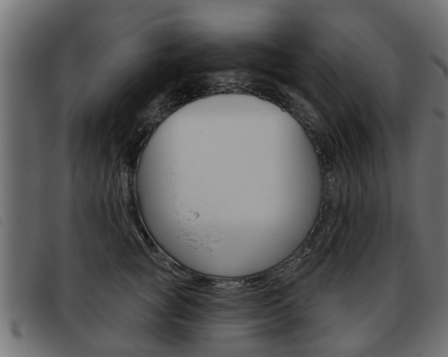 X0000093620757200710151040