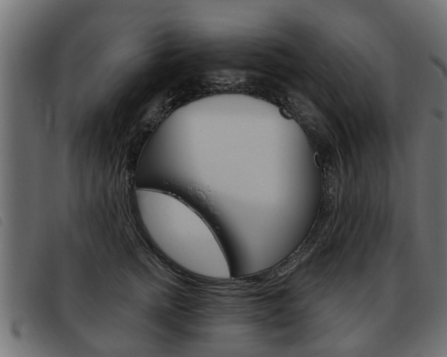 X0000093620758200710151040