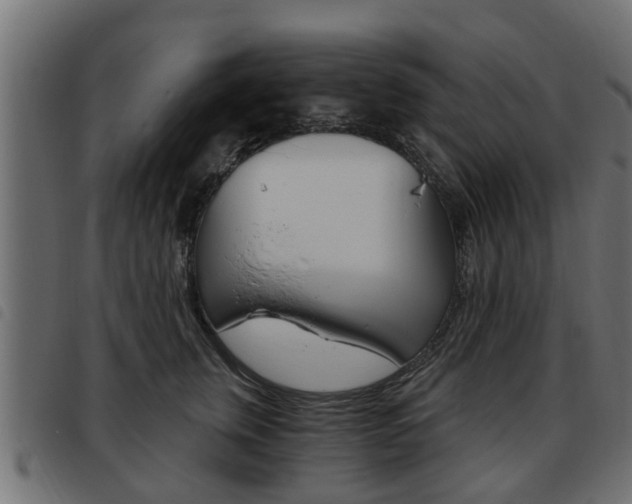 X0000093620759200710151040