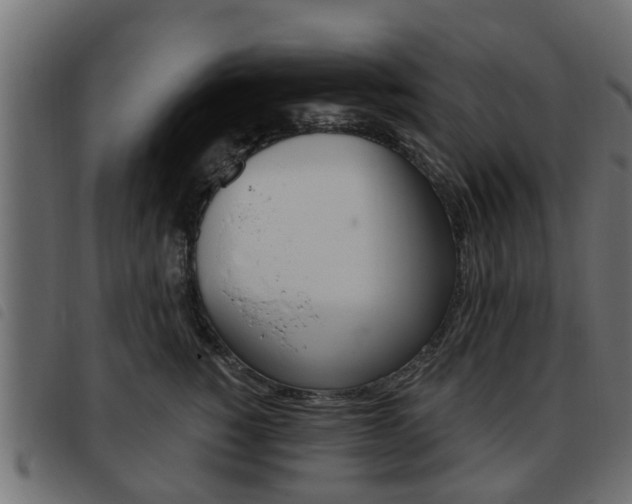 X0000093620760200710151040