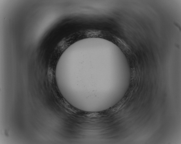 X0000093620761200710151040