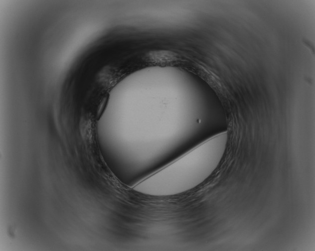 X0000093620762200710151040