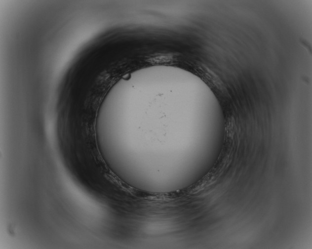 X0000093620763200710151040