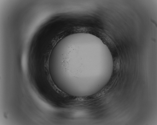 X0000093620764200710151040
