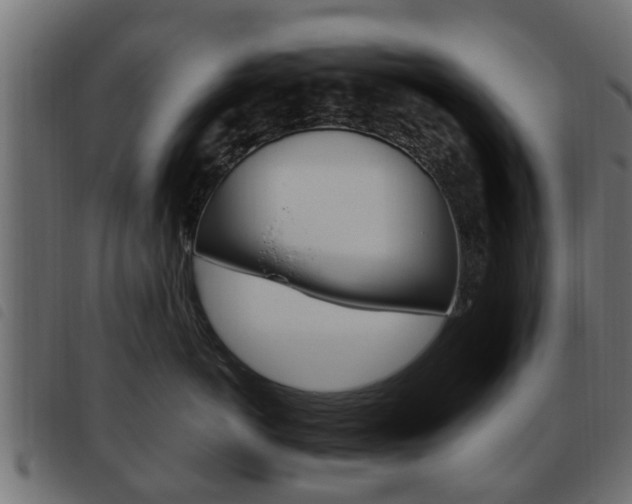 X0000093620766200710151040