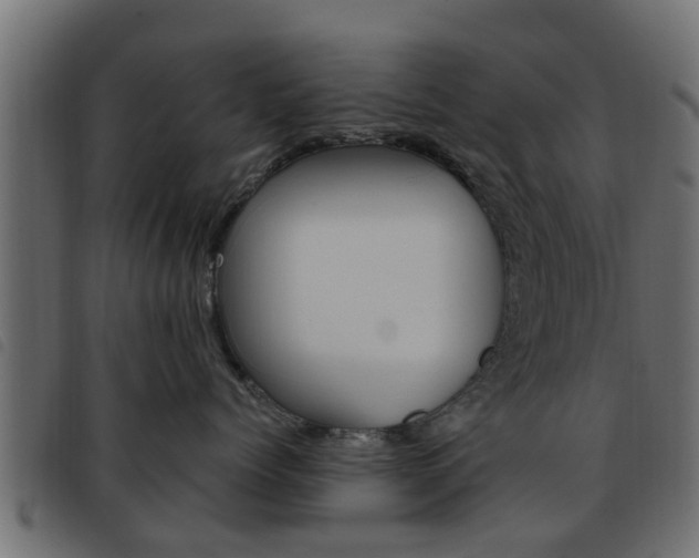 X0000093620768200710151040