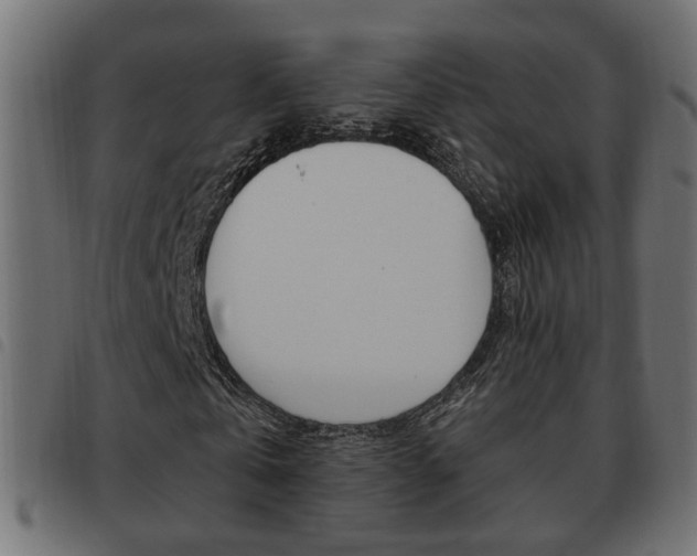X0000093620769200710151040