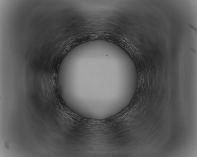 X0000093620770200710151040