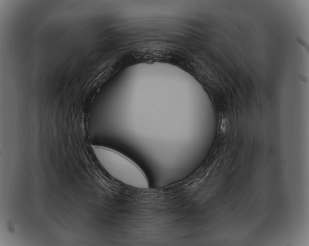 X0000093620771200710151040