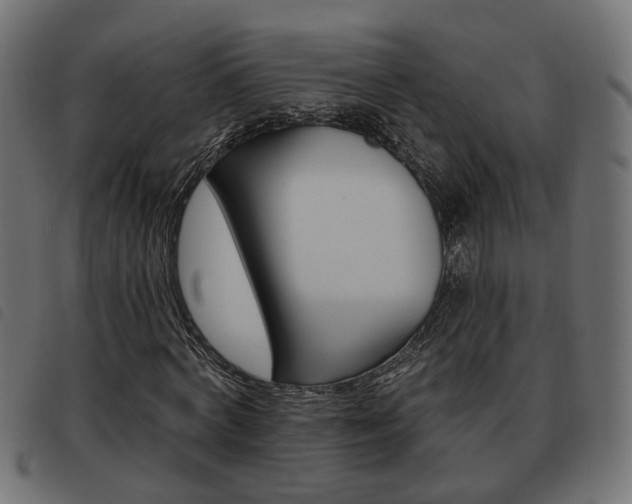 X0000093620772200710151040