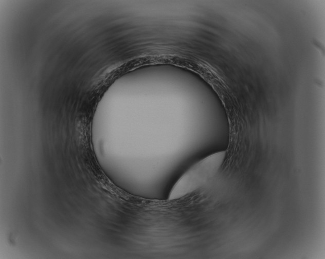 X0000093620773200710151040