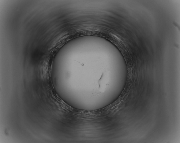 X0000093620774200710151040