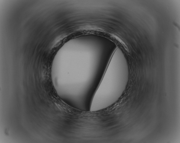 X0000093620775200710151040