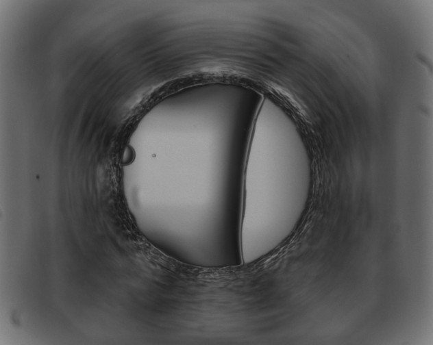 X0000093620776200710151040
