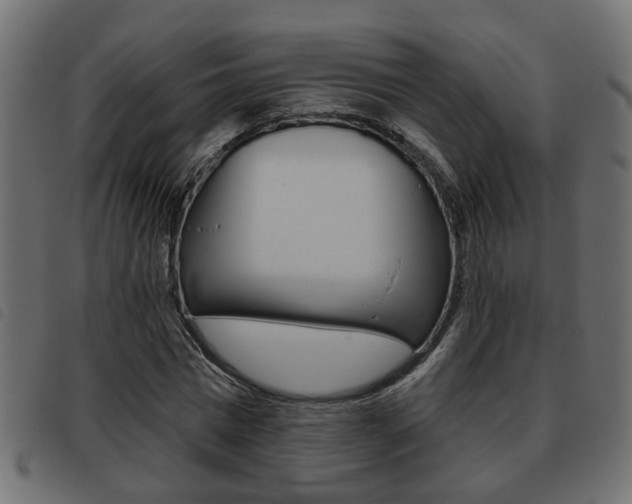 X0000093620777200710151040