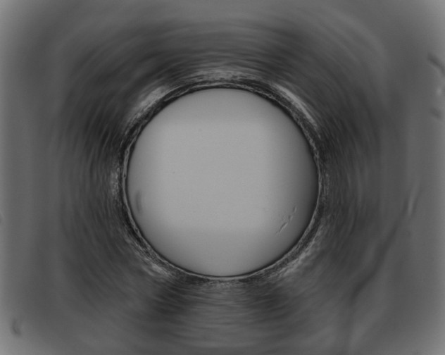 X0000093620778200710151039