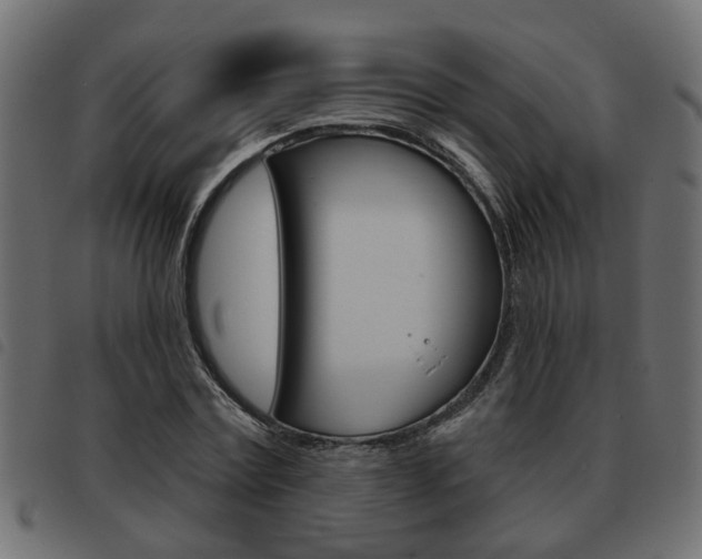 X0000093620779200710151039