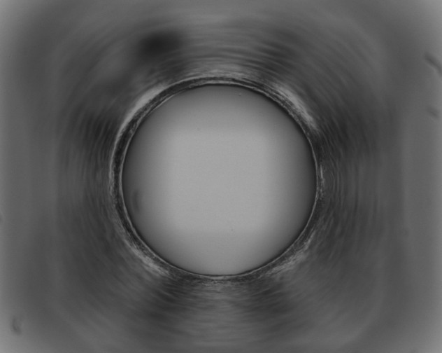 X0000093620780200710151039