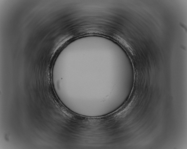 X0000093620782200710151039