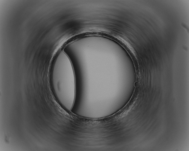 X0000093620783200710151039