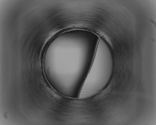 X0000093620784200710151039