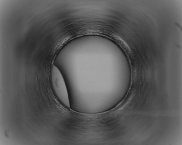 X0000093620785200710151039