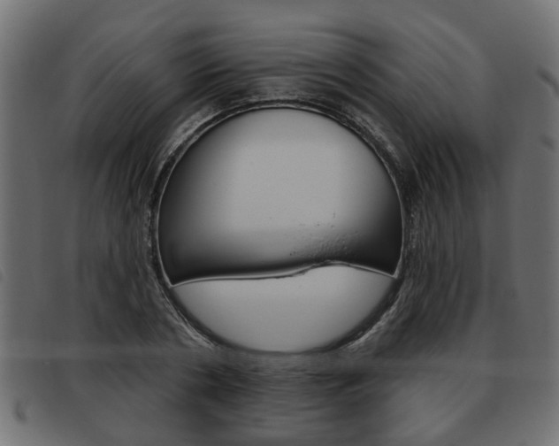X0000093620786200710151039