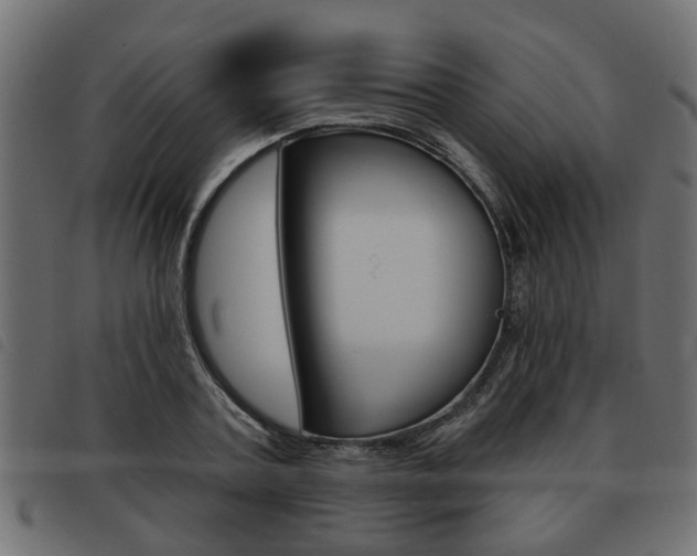 X0000093620787200710151039