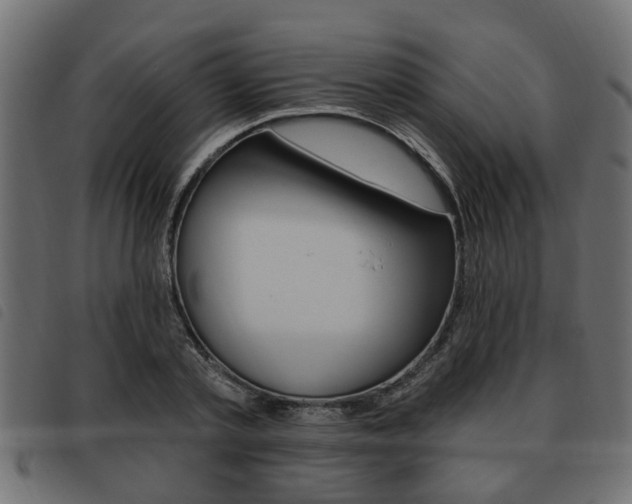 X0000093620789200710151039