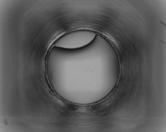 X0000093620790200710151039
