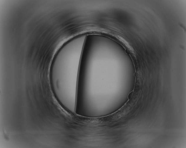 X0000093620791200710151039