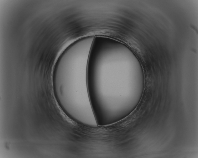 X0000093620792200710151039