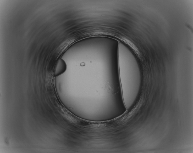 X0000093620793200710151039