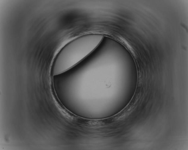 X0000093620795200710151039