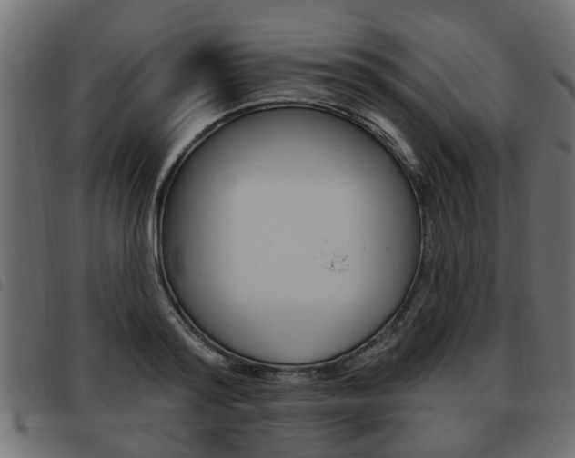 X0000093620796200710151039