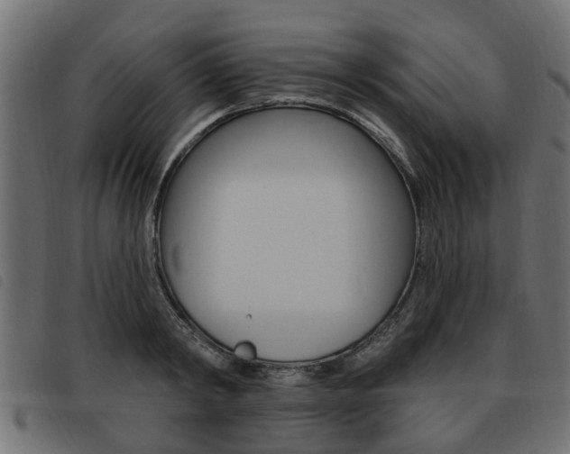 X0000093620798200710151039