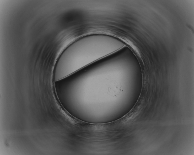 X0000093620799200710151039
