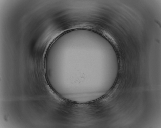 X0000093620800200710151039