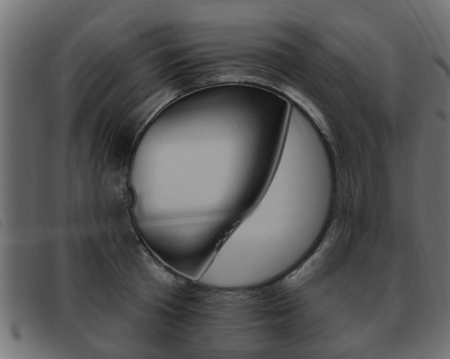 X0000093620801200710151039