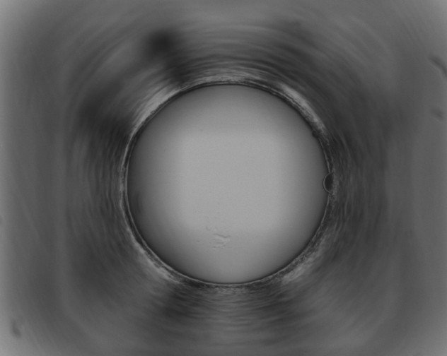 X0000093620802200710151039