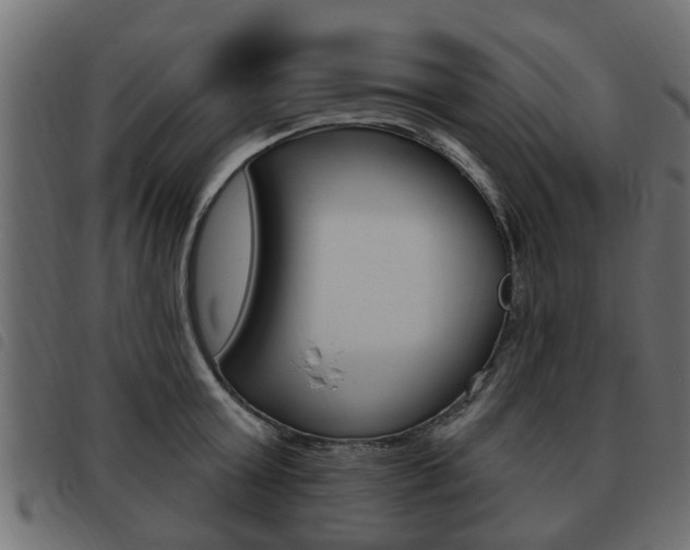X0000093620803200710151039