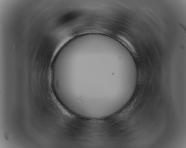 X0000093620804200710151039