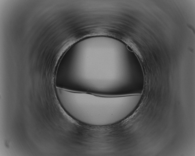 X0000093620805200710151039