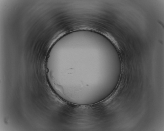 X0000093620806200710151039