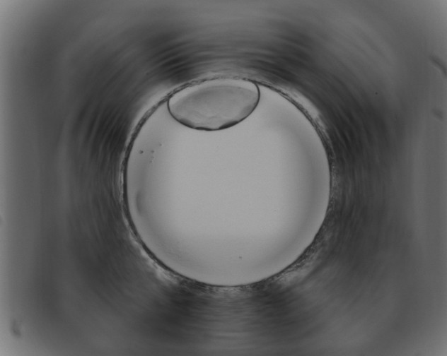 X0000093620807200710151039
