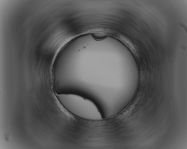 X0000093620808200710151039