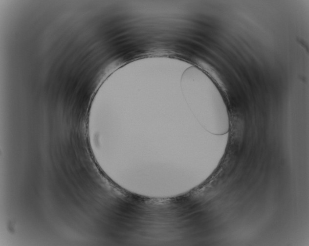 X0000093620810200710151039
